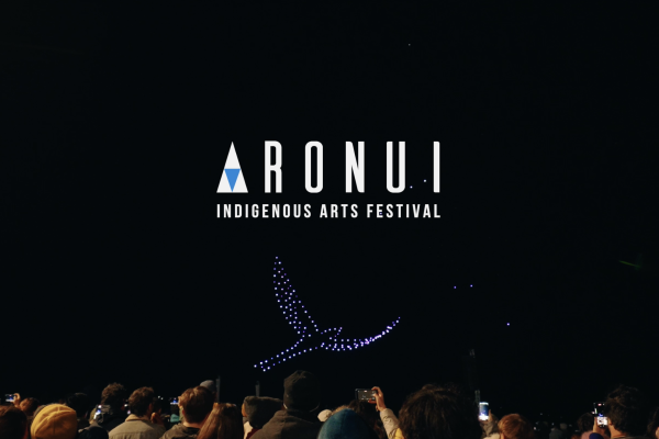 Aronui Indigenous Drone Show Arts Festival Matariki Drone Show Rotorua